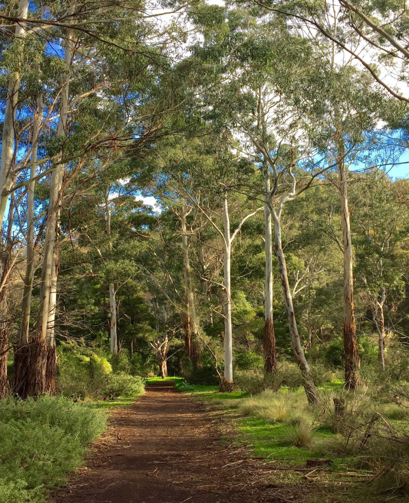 Path of Love Australia