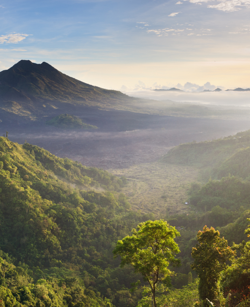 Bali Wellness Retreat