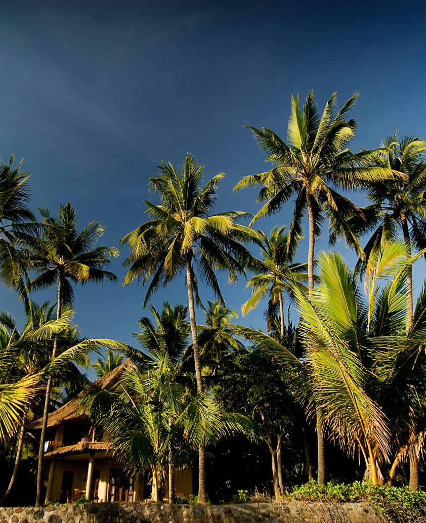 Bali Wellness Retreat