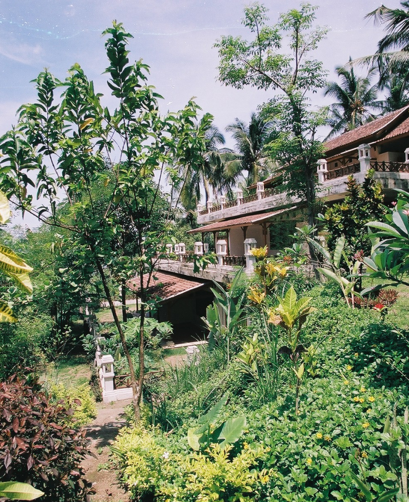 Bali Wellness Retreat