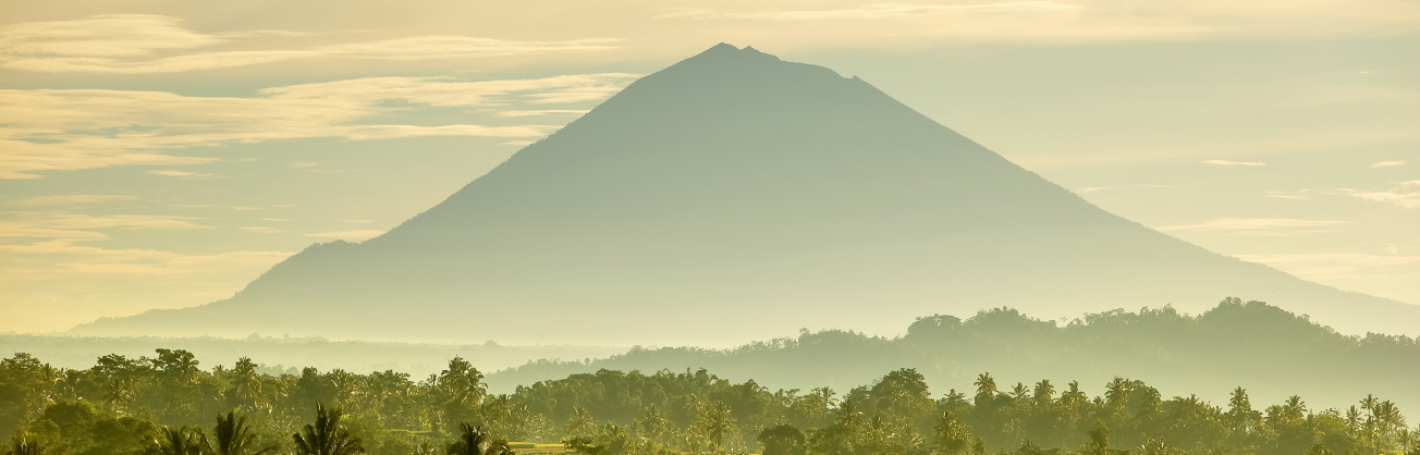 Bali Wellness Retreat