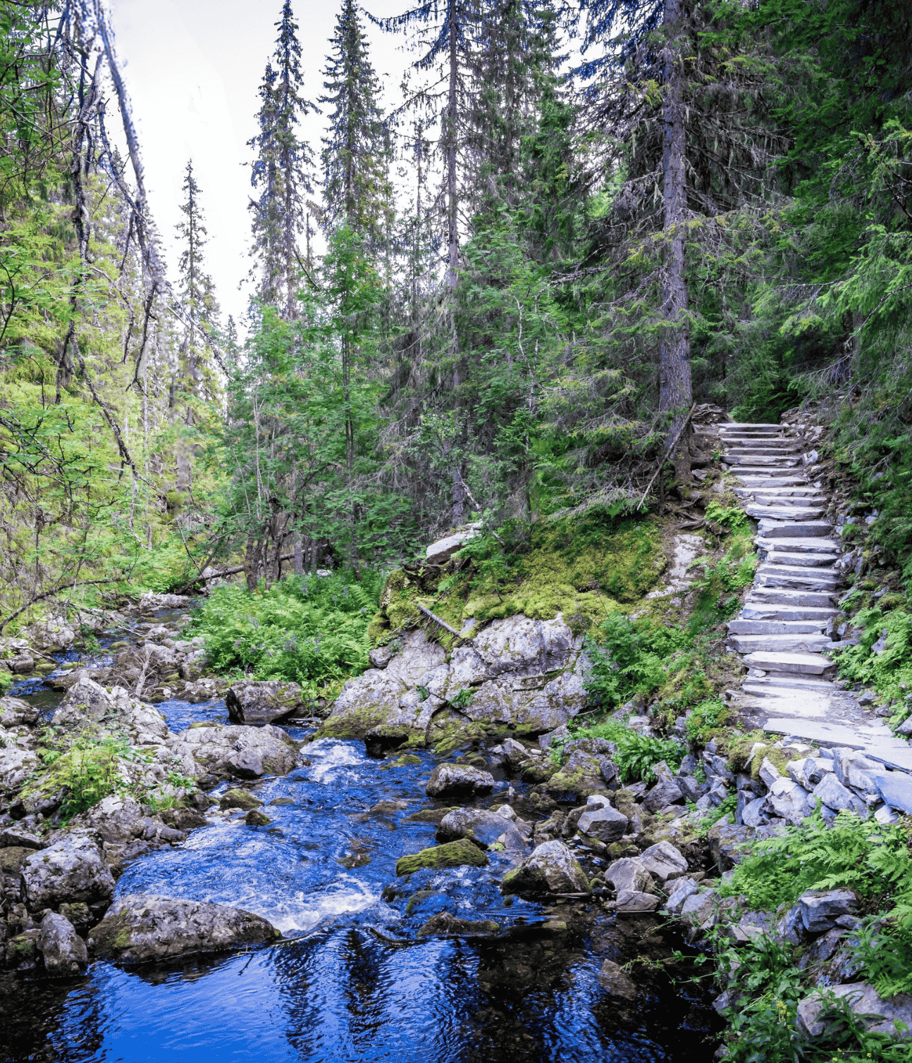 Sweden Wellness Retreat