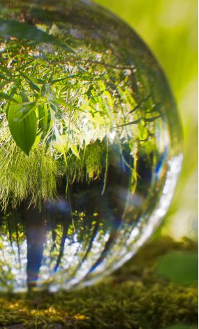 Green Essence Sensitivity and Attunement 