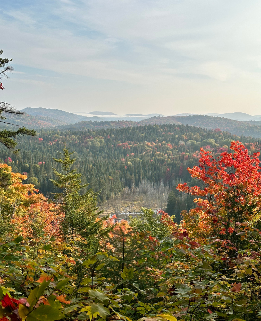 Path of love wellness retreat Canada