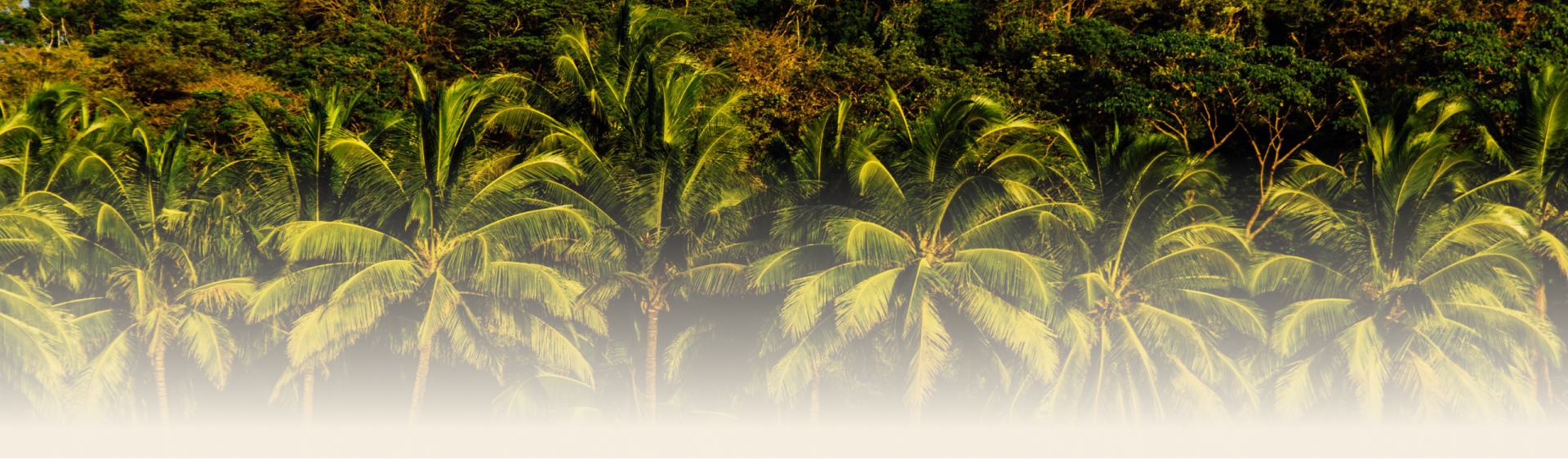 Path of Love Costa Rica