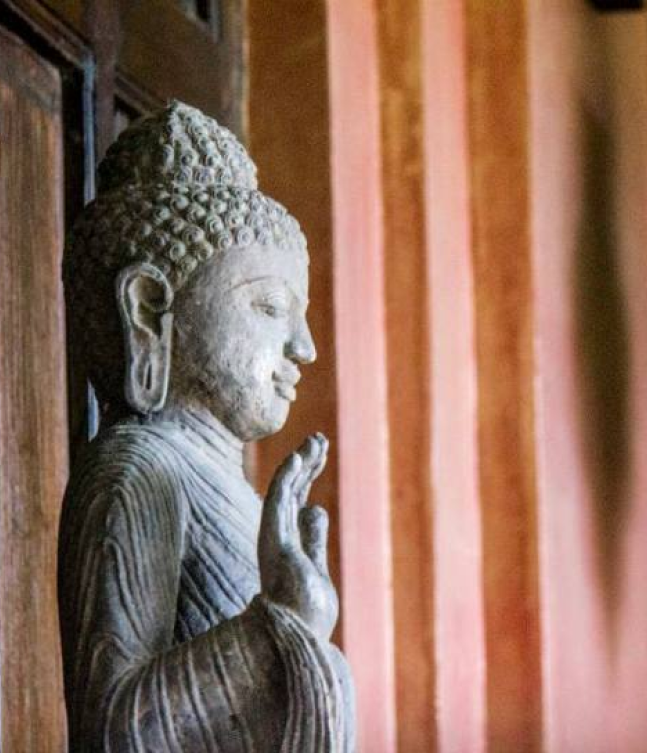 Path of Love Costa Rica