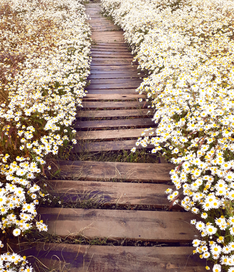 Coming home to yourself