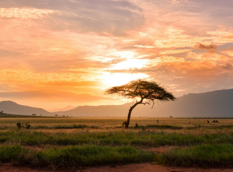 Path of Love Kenya