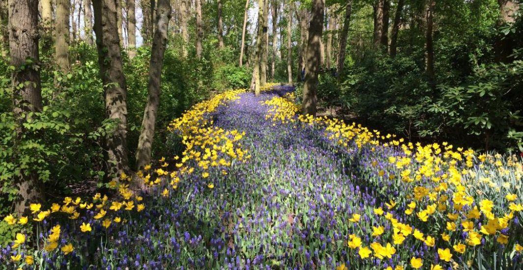 Path of Love with Flowers